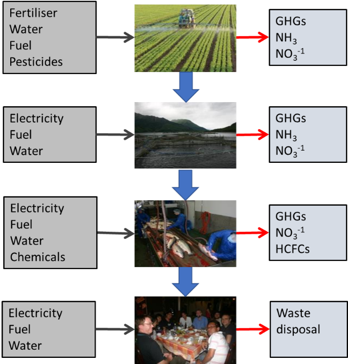 A picture flow-digram of an aquaculture value chain showing system inputs on the left and waste outputs on the right.
