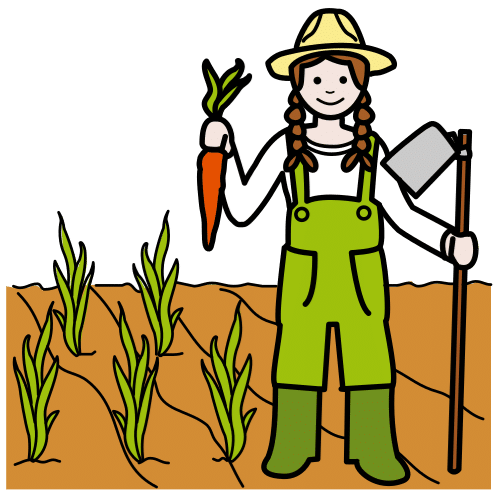 Une agricultrice récolte des carottes
