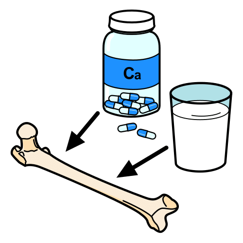 Le calcium provient du lait ou de comprimés et contribue à la formation des os.