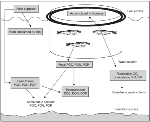 Diagram of a fish cage with labels to show carbon inputs and outputs.