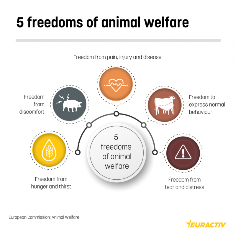 OLCreate: : Animal welfare