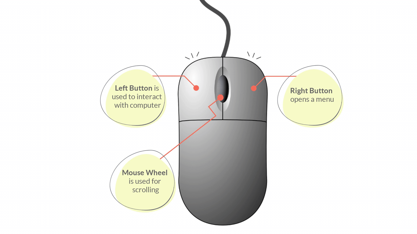 Graphic showing the left button, right button and wheel of a mouse