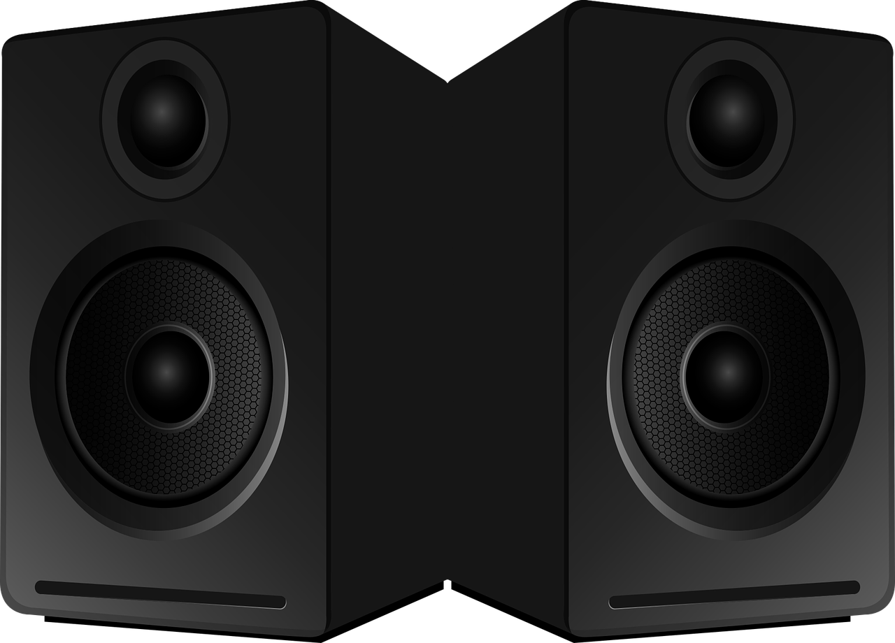 Image of a speaker