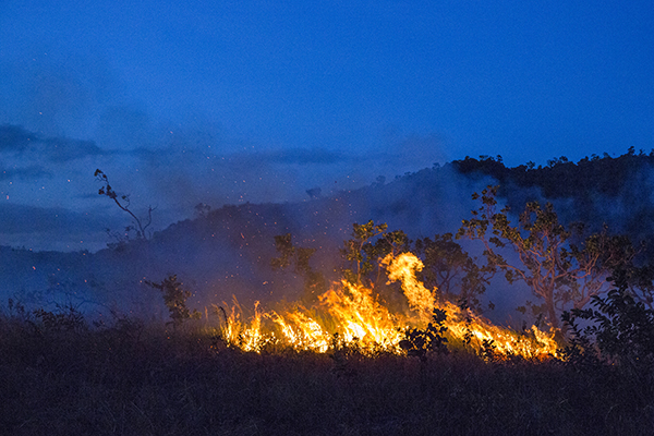Photo of a fire burning in the savanna