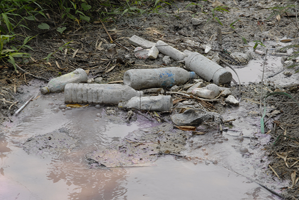Photo of a polluted stream with discarded bottles