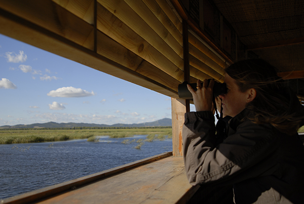 A photo of a person sitting in a wildlife viewing building using binoculars to survey birds
