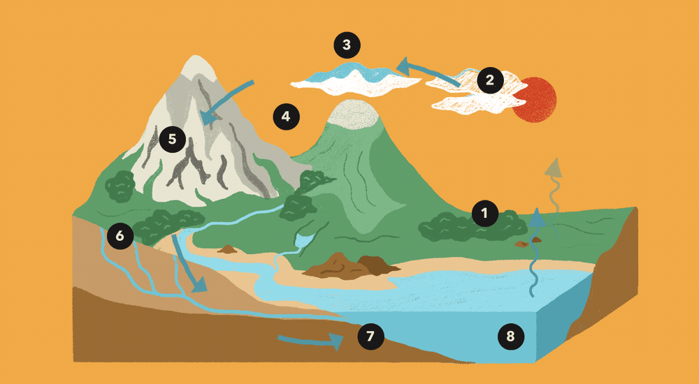 Illustration of the water cycle