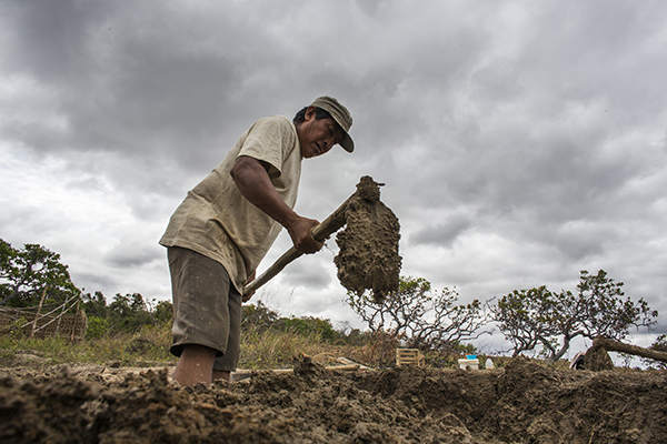 Photo showing someone digging