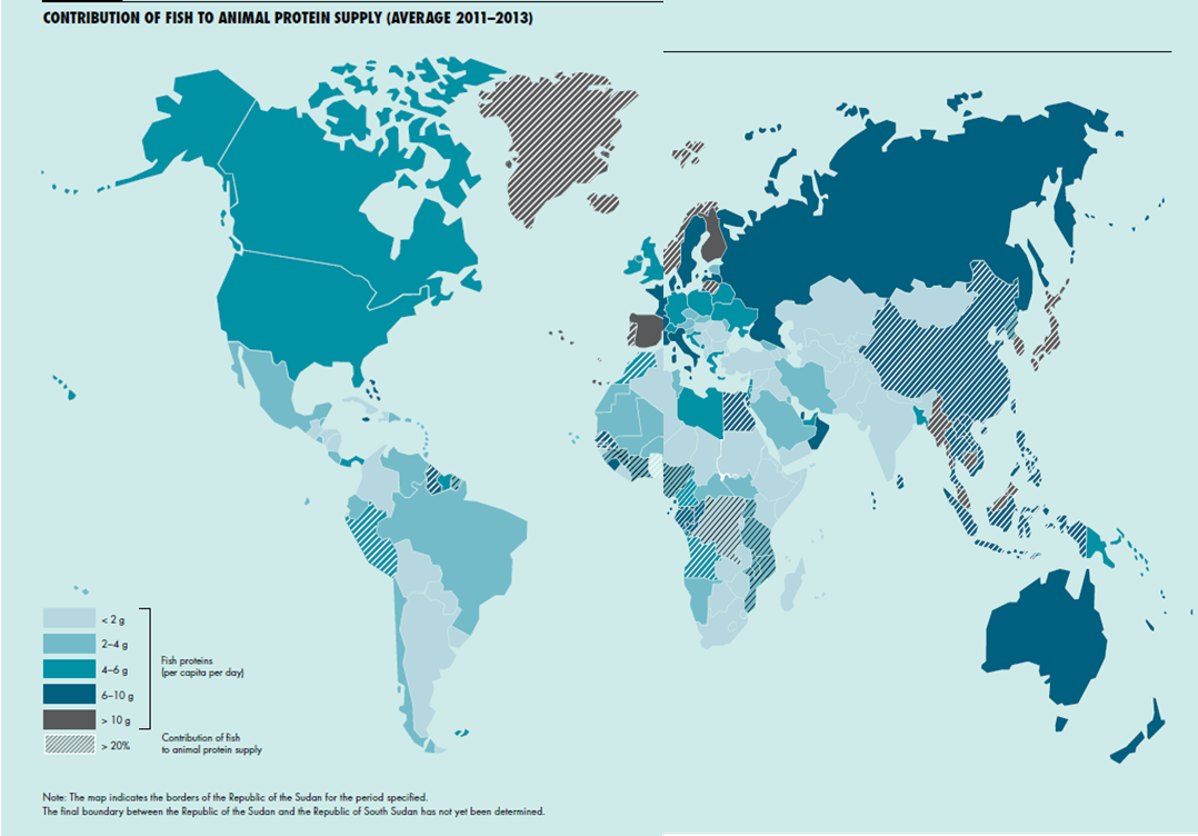 Map graphic to show the contribution of fish to animal protein supply by country, 2011-2013
