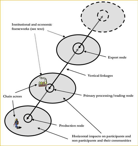 Diagram of a generic value chain, from production through processing to final consumption