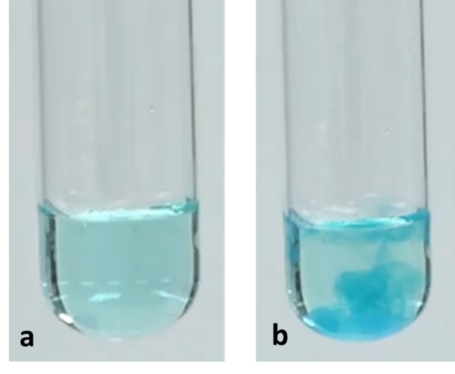 Test tubes containing blue liquid