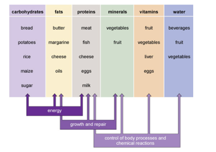 Figure 1. A summary of the six different categories of nutrients, their main roles in the body and some of the foods that pro