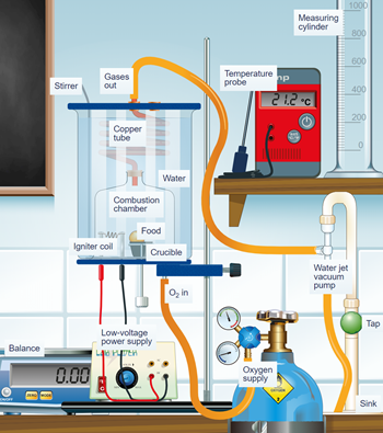Figure 9. Simple food calorimeter