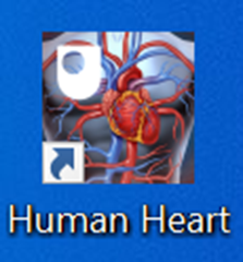 Human heart application icon