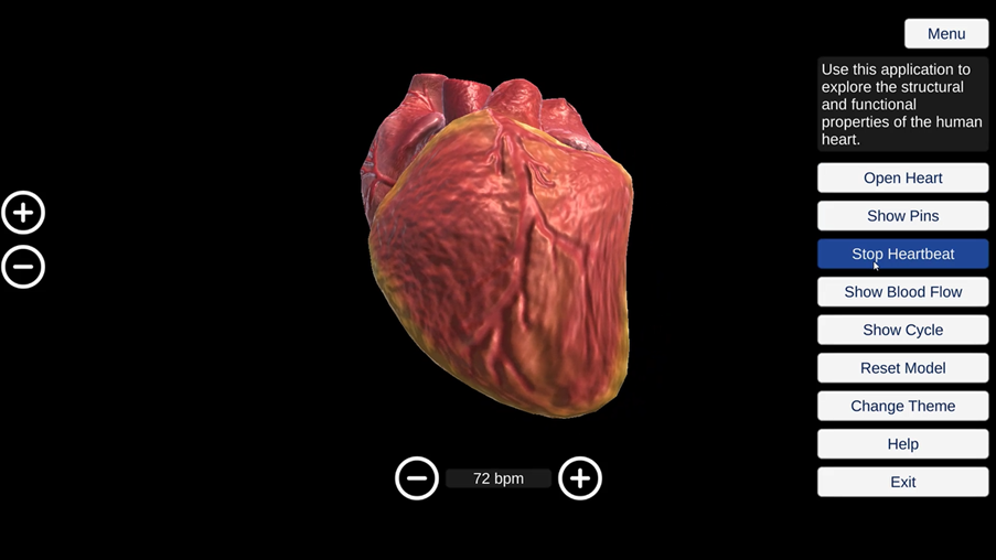 The beating human heart.