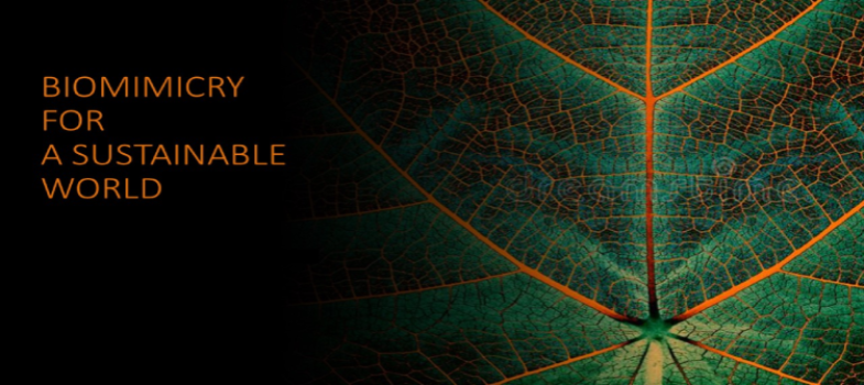 Biomimicry for a Sustainable World: Part 1