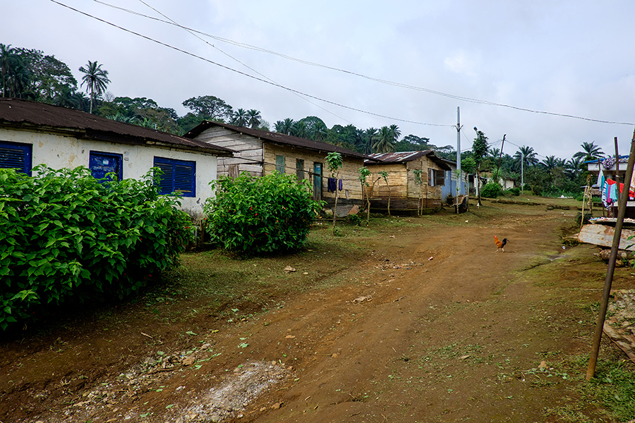 A village street scene in a typical poor rural environment.