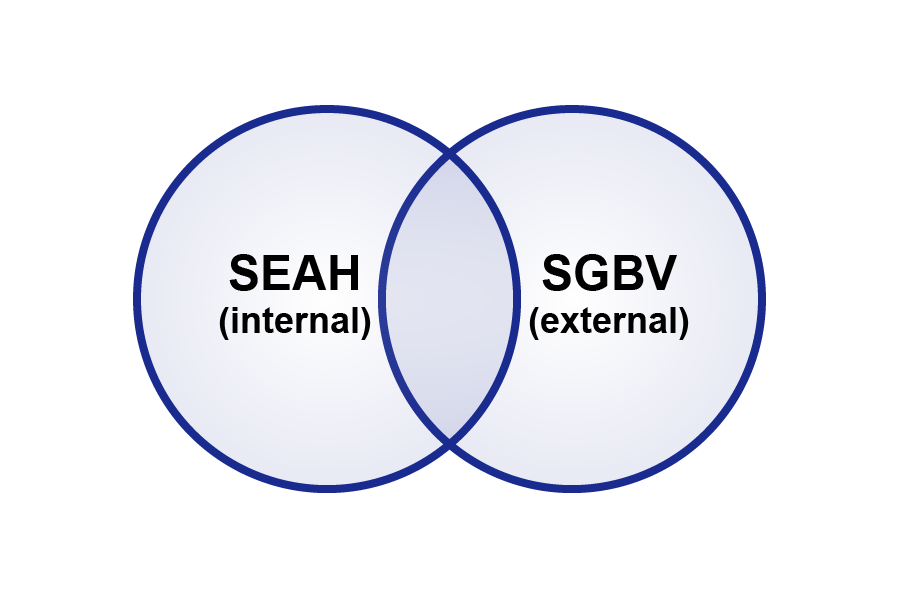 Two overlapping rings. In the left-hand ring it says SEAH internal. In the right-hand ring it says SGBV external.