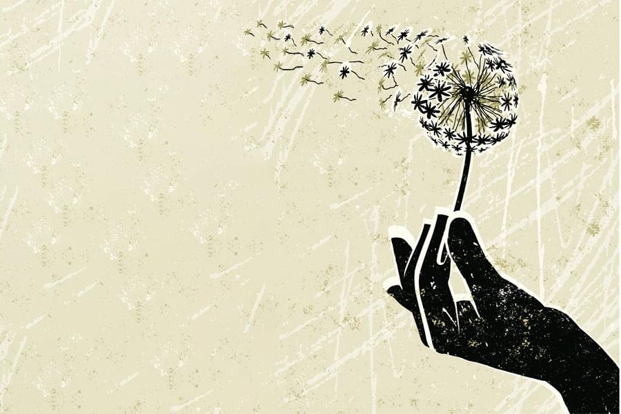 An illustration of a hand holding a delicate flower head. The small petals are being gently blown away.