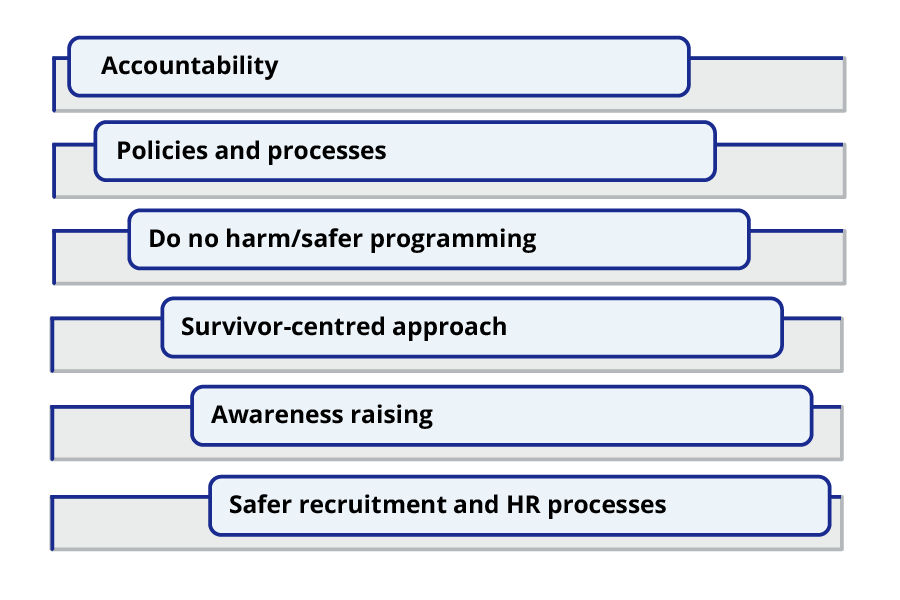 The six sections in the diagram are (1) accountability. (2) policies and processes. (3) do no harm/safer programming. (4) survivor-centred approach. (5) awareness raising. (6) safer recruitment and HR processes.