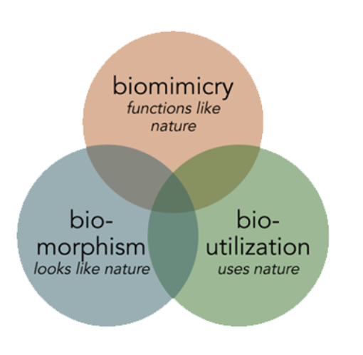 The triangle of bio-inspired design diagram shows three intersecting circles labelled ‘biomimicry - functions like nature’.
