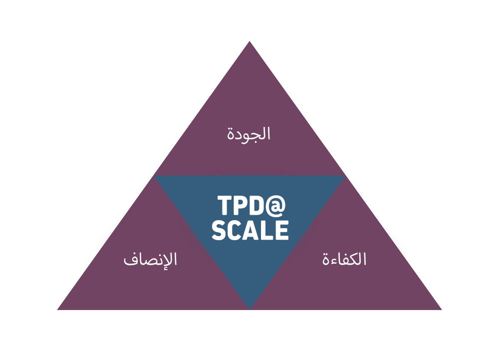 TPD@Scale triangle: Quality, Equity, Efficiency