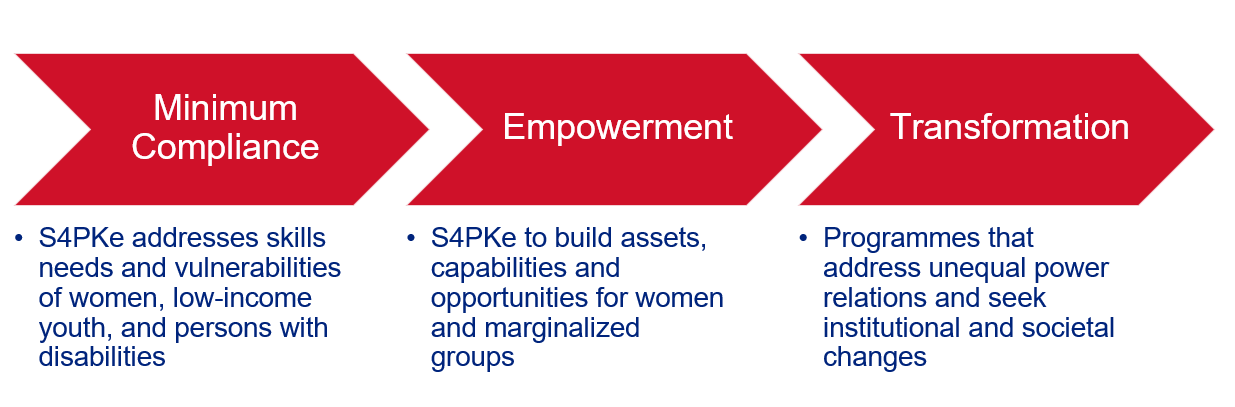 A summary of Prosperity Fund’s Gender and Inclusion Framework depicting the 3 levels