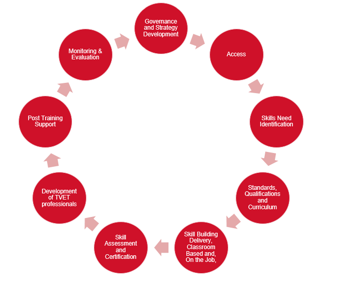steps for GESI mainstreaming in TVET/HE institutions.