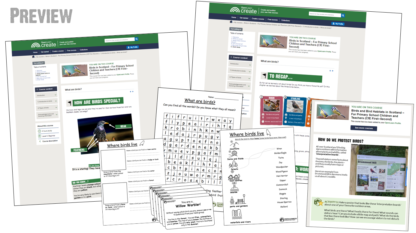 A preview of resources included on the course, including: information pages, activity sheets, card games and craft prompts.
