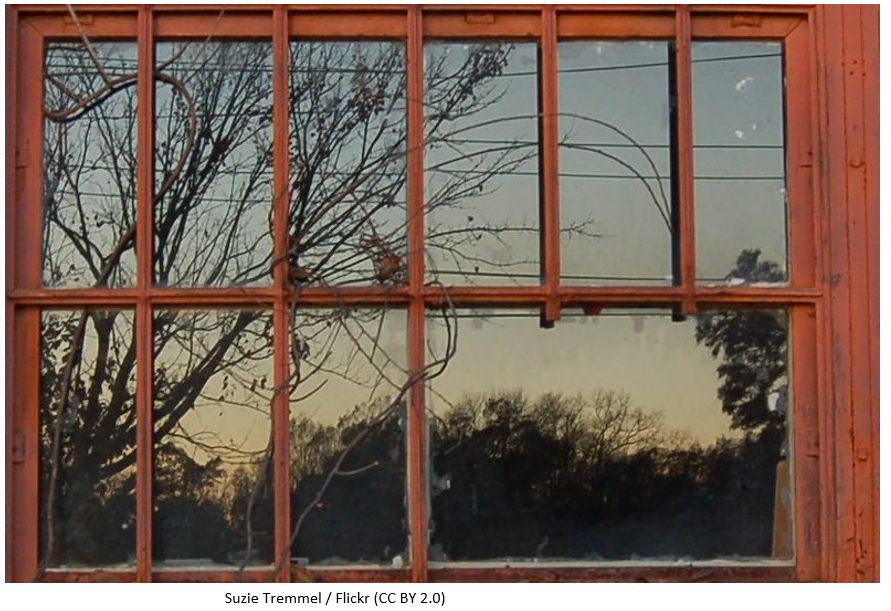 An exterior window with reflections of the sky and trees.