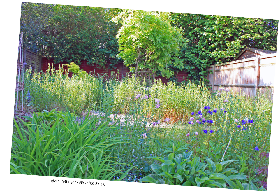 A leafy garden with tall hedges and flowers.