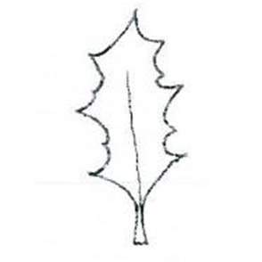 Leaf with sharp edges, holly shaped