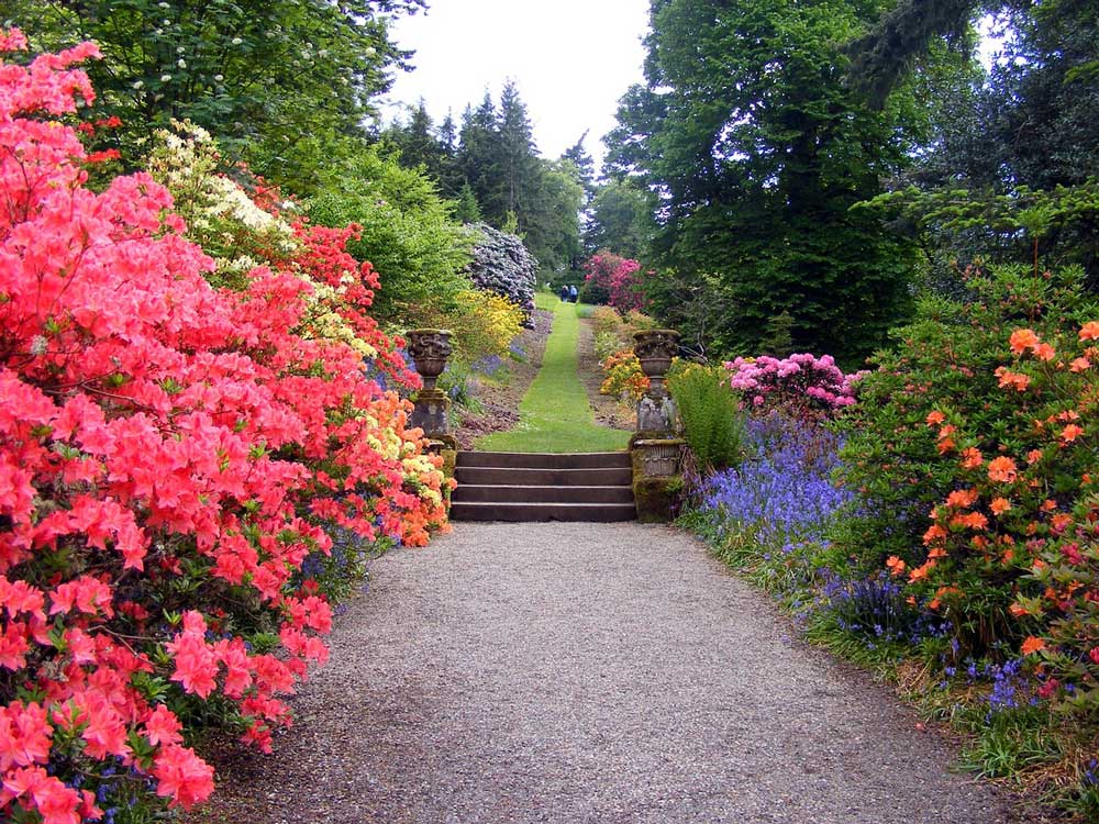 A path surrounding by brightly coloured shrubs, leading towards a set of 4 steps up to a grassy area.