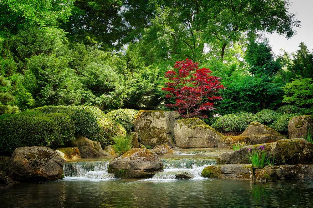 A water pool with two low waterfalls, surrounded by boulders, shrubs and trees, one which has red leaves.