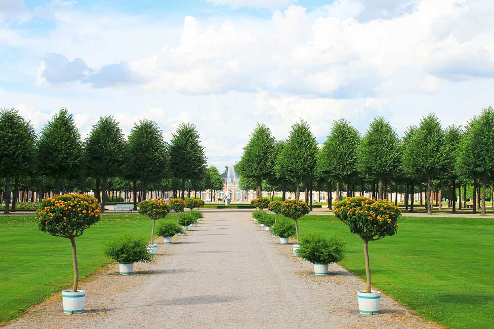 A formal garden with a wide path leading through lawns surrounded by trees and shrubs cut to the same shape.