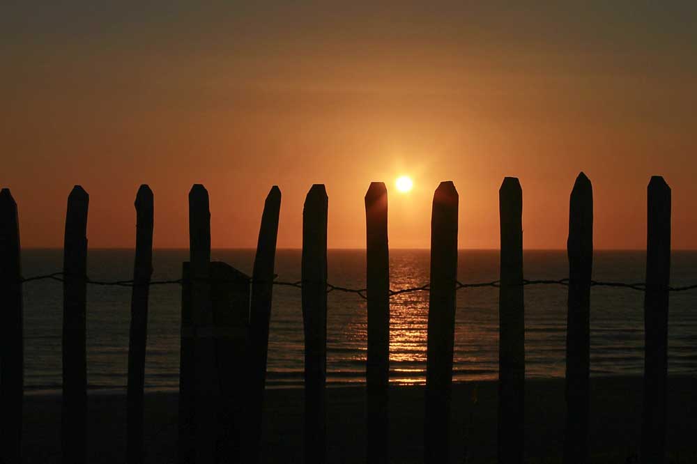 A line of fence posts next to the ocean with the sun setting behind.
