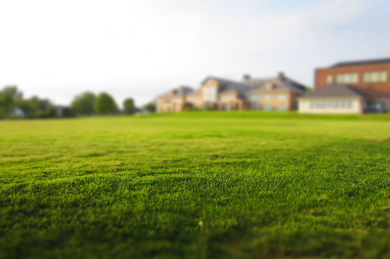 An expanse of freshly cut grass with buildings and trees in the distance.