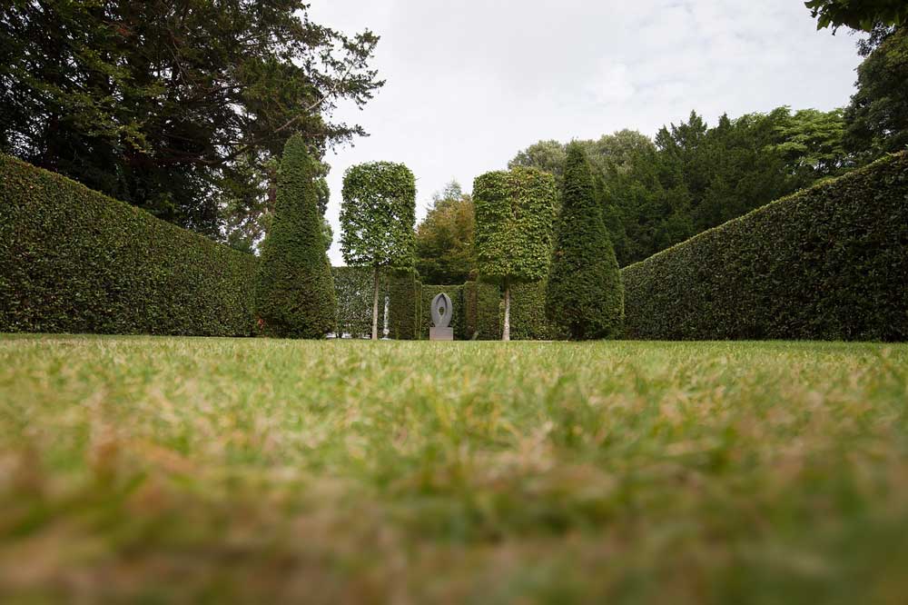 Grassy area surrounded by clipped, high hedges with two identical trees on either side of a garden ornament in the distance.
