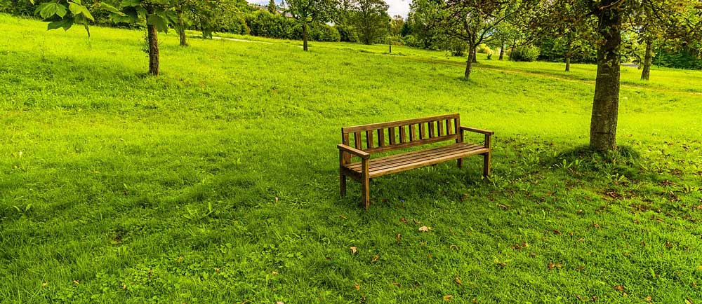 A wooden park bench on grass next to a tree.