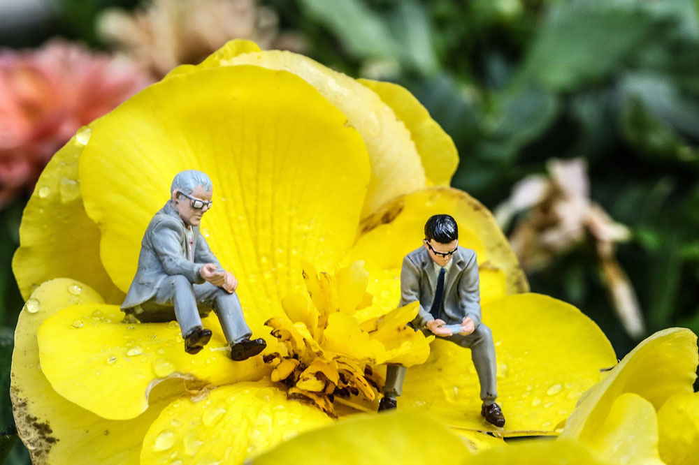 A bright yellow flower with two miniature figures seated around the centre as though in conversation.