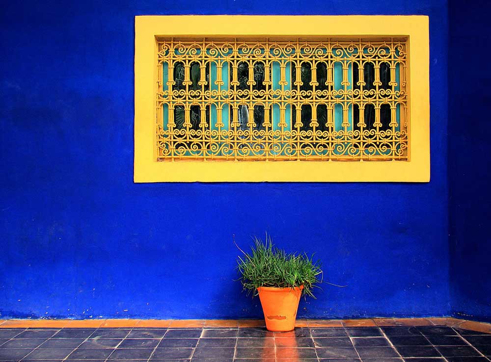 A brightly painted blue wall with embedded wrought iron  window and green plant below in terracotta pot on blue tiles.