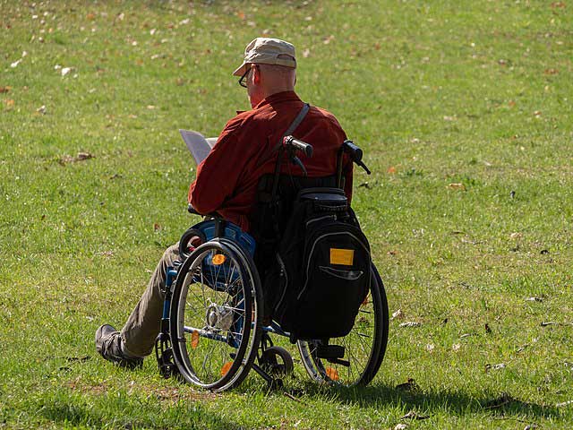 A garden visitor in a wheelchair.