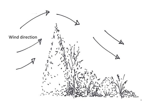 Diagram with arrows representing wind flow and direction, up and over a tall border.