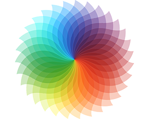 The colour wheel represented as a flower shape.