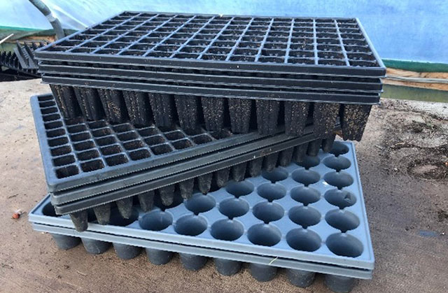 A stack of cell trays in a greenhouse