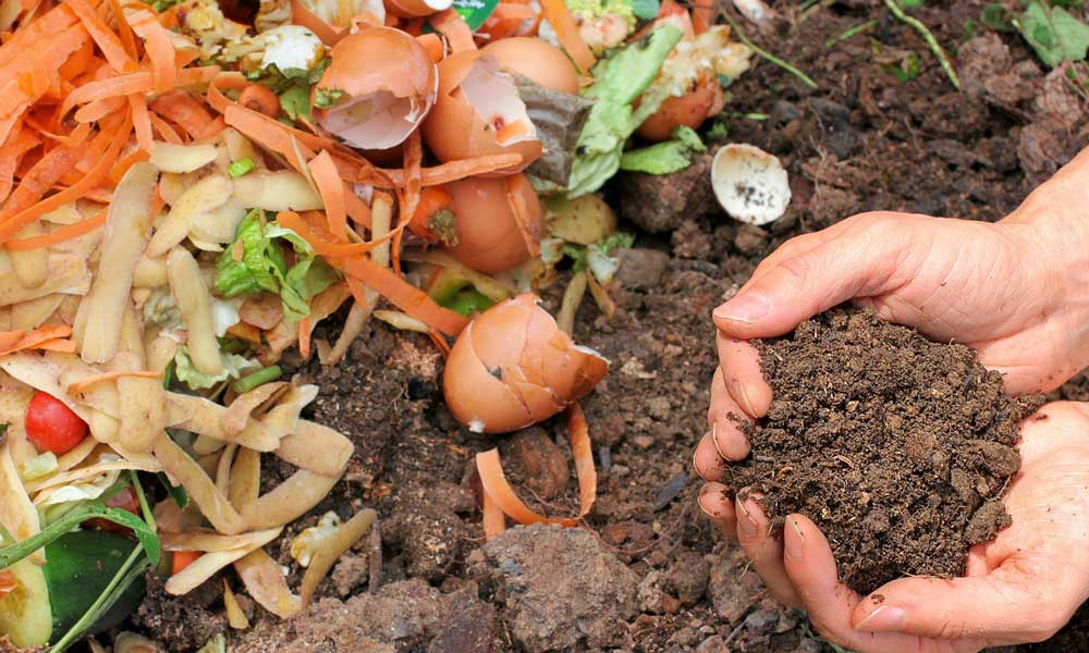 Food waste such as potato and carrot peelings, which is being turned into compost