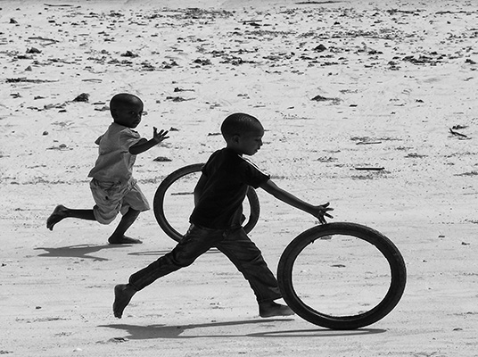 Play, learning and the brain