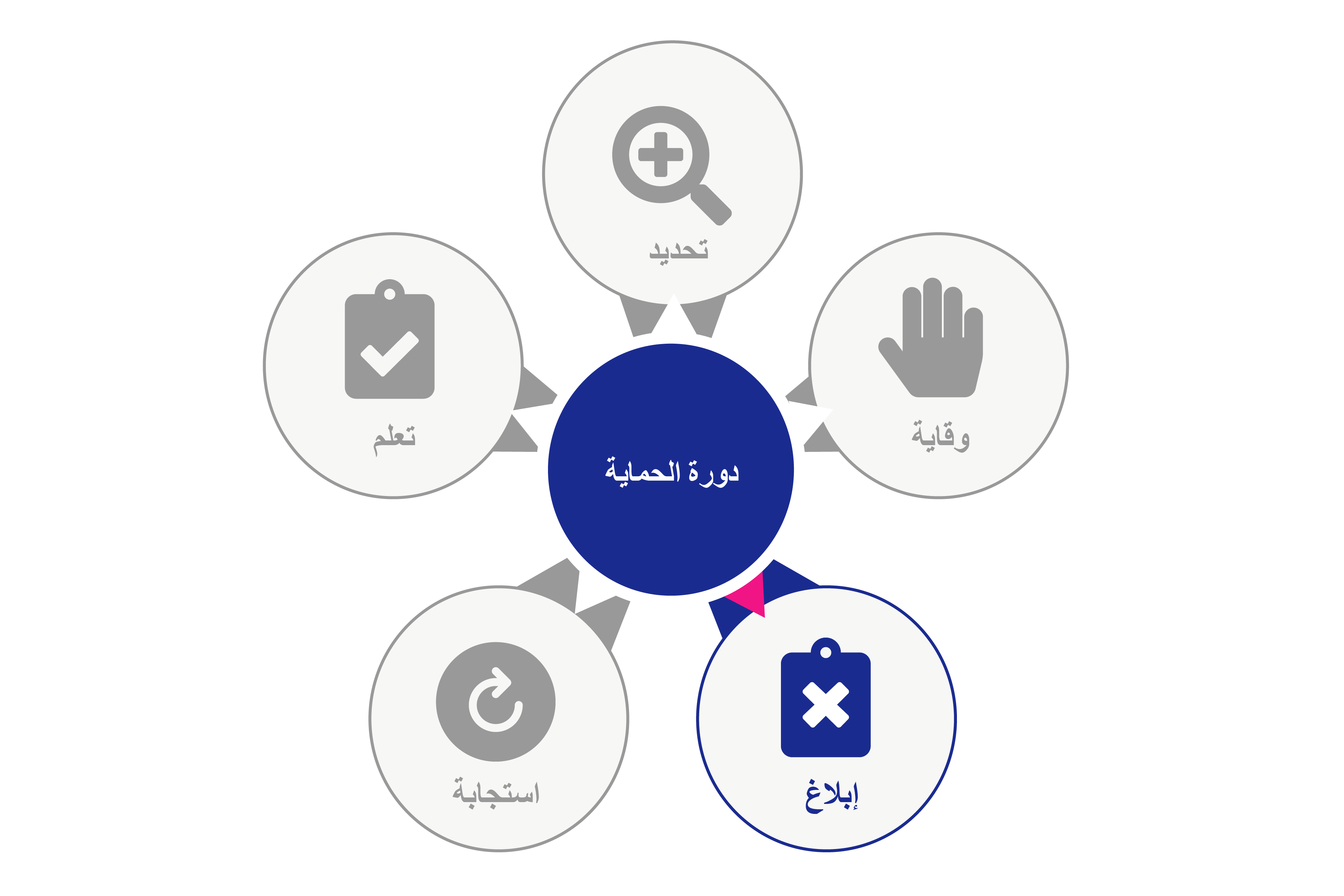 رسم تخطيطي لدائرة مركزية مكتوب فيها دورة الحماية. حولها خمس دوائر في مدار. تقول الدائرة 1 «تحديد» ولكنها باللون الرمادي. تقول الدائرة 2 «وقاية» ولكنها باللون الرمادي. تقول الدائرة 3 «إبلاغ». تقول الدائرة 4 «استجابة» ولكنها باللون الرمادي. تقول الدائرة 5 «تعلم» ولكنها باللون الرمادي.