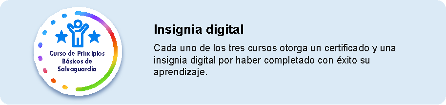 Principios Básicos de Salvaguardia insignia digital.