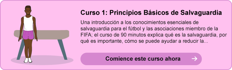 Curso 1: Principios Básicos de Salvaguardia